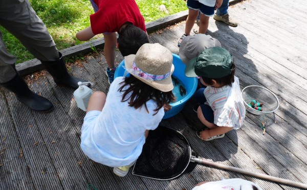 ザリガニ釣り　たのしかったね